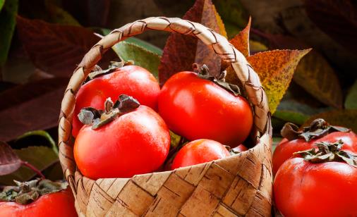 冬季吃柿子容易長(zhǎng)結(jié)石嗎 成熟柿子可以放心隨便吃