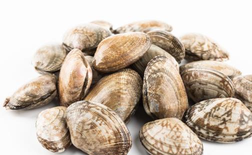 八種花甲的食譜值得一試 趕緊收藏起來