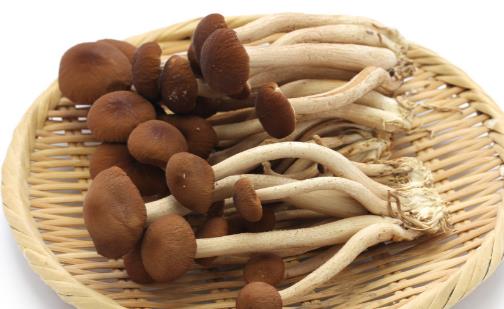 整理八款干煸的美食做法 吃貨們趕緊行動