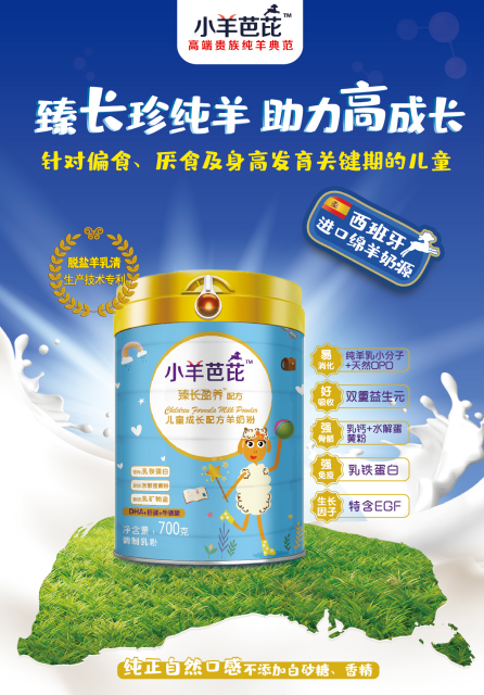 小羊芭芘——西班牙進口“貴族純羊典范,眼明腦聰長的高”