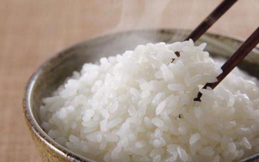 午餐要重視營養搭配 減肥午餐攻略