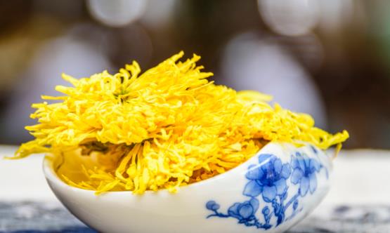 菊花茶可不可以天天喝 喝菊花茶需要隨泡隨飲不要隔夜