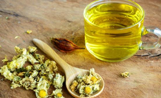 菊花茶可不可以天天喝 喝菊花茶需要隨泡隨飲不要隔夜