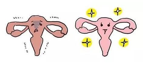 華明基因檢測預(yù)防衰老,女人保養(yǎng)好卵巢非常重要!