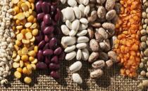 ?太常吃粗糧竟也會引發肥胖 粗糧并不是吃越多越好