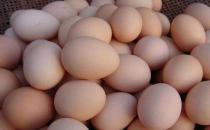 肚臍下面疼是怎么回事，肚臍下面疼是怎么回事男性