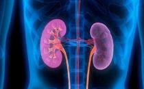 要想腎臟芳華永駐 提倡在沒病時就做好預防