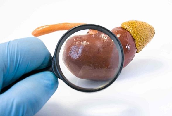 青島靜康醫(yī)院案例:明明是重度腎衰,血肌酐卻正常!化驗(yàn)單會說謊嗎?