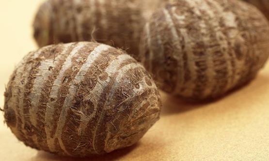 薯類食物與健康關系 各種薯類食物的不同養生功效