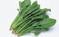 菠菜的營養價值 激活大腦功能增強青春活力