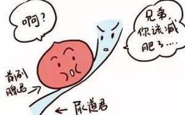 【排尿困難】排尿困難吃什么藥_男女性排尿困難的原因_排尿困難名詞解釋 【排尿困難】排尿困難吃什么藥_男女性排尿困難的原因_排尿困難名詞解釋