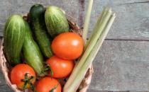 膳食纖維有防病治病功能 膳食纖維抑制結(jié)直腸癌的發(fā)生機制