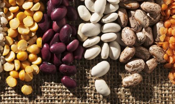 鹽吃太多會引起缺鈣 八種行為會導致鈣流失