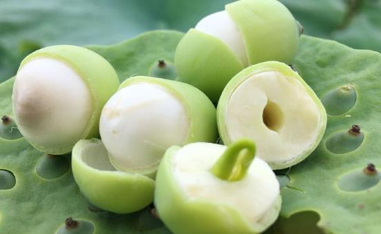 蓮子是防癌抗癌的好幫手 新鮮蓮子吃法技巧