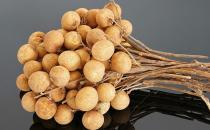 龍眼益氣補血增強記憶 7種龍眼食療方幫你吃走疾病