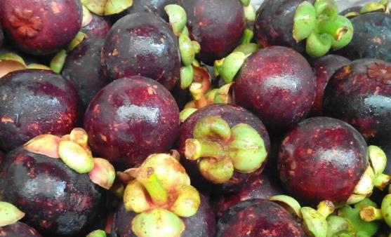 吃水果的4大禁忌 吃水果的錯誤搭配