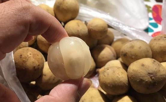 龍宮果的功效和作用 吃龍宮果的禁忌