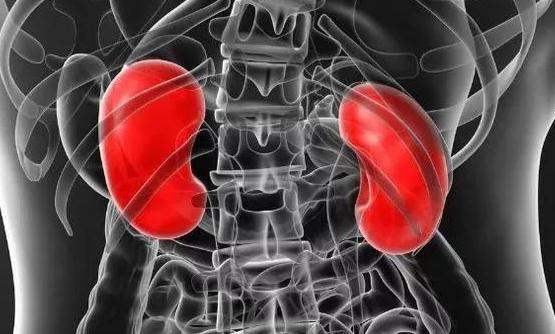 八個信號說明腎臟病了 晚上九點泡腳最護腎