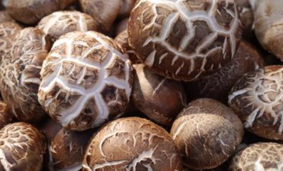 10種能夠提高免疫力的簡(jiǎn)便方法 10種食物助力提升免疫力