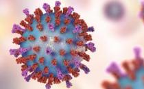 預防新冠病毒忌口有四 家里勤消毒助力抗疫早日成功