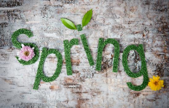 在這個(gè)春天擁抱你