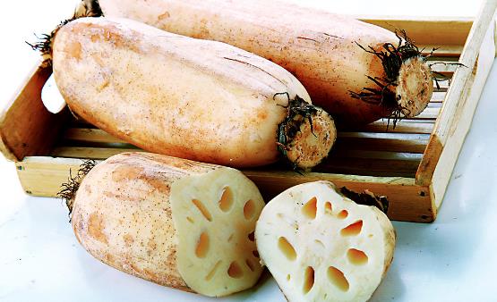 蓮藕開胃清熱滋補養身 推薦四款蓮藕食療方