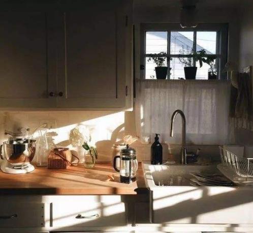 家里蟑螂多怎么辦 居家消滅蟑螂有妙招