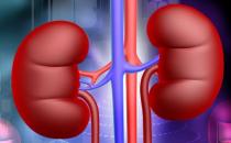 ?女性產后易出現腎虛癥狀 產后吃什么補腎效果最好