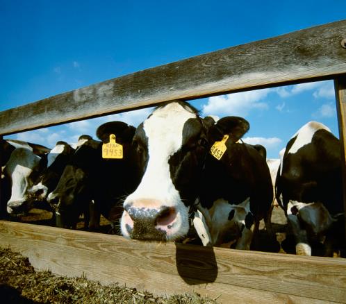 更懂營養(yǎng)的代餐棒!方特健一步搞定,給身體來個(gè)“大掃除”!