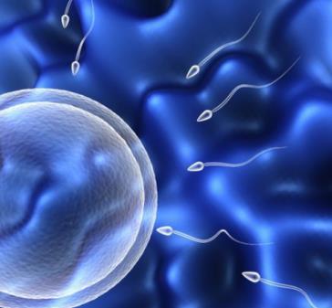 石家莊藍天中醫院看男科如何 守護男性健康 為百姓服務