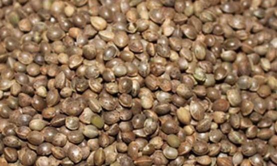 血液垃圾帶來危害 多吃9類食物有效清理血液垃圾