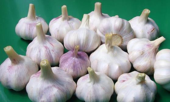 血液垃圾帶來危害 多吃9類食物有效清理血液垃圾