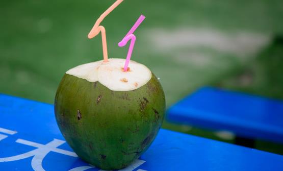 椰子汁是三高人群的福音 補充細胞內液擴充血容量