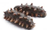 ?哺乳期能吃海參嗎 哺乳期吃海參的最佳時間