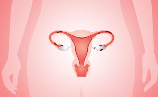 該如何保護好自己的子宮 保養子宮最好的運動