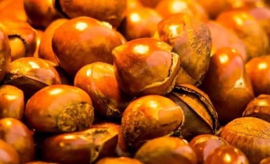 板栗具有腎之果的美譽 栗子的五種美味吃法