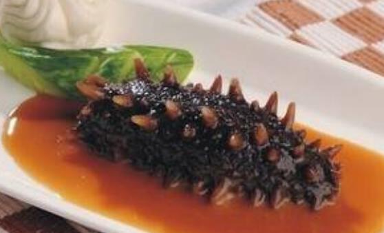 海參是老少皆宜滋補佳品 海參的美味做法