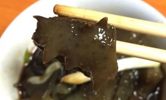 海參是老少皆宜滋補佳品 海參的美味做法