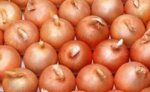 ?洋蔥中的營養豐富 四種洋蔥的家常做法 