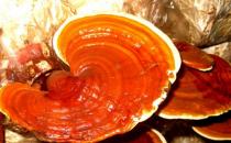 早餐不建議吃哪些食物，不吃早餐的危害：低血糖、胃炎、胃潰瘍