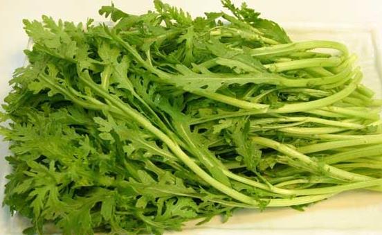 排出體內堆積毒素 簡便易行無副作用