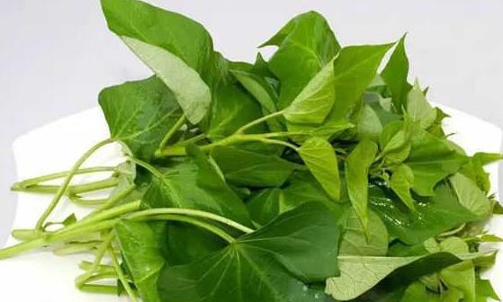 排出體內堆積毒素 簡便易行無副作用