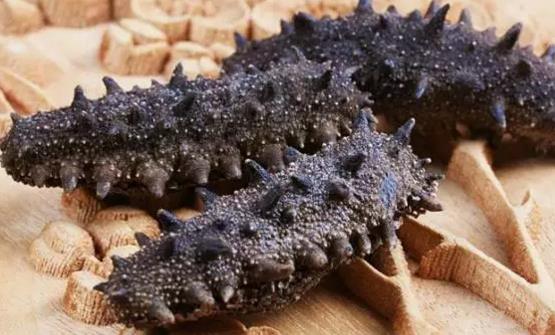 推薦春季補腎佳品 這就大海產品不容錯過