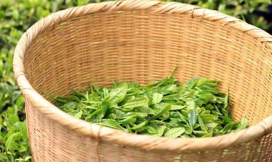 經常吃這十二款食物 能有助緩解頭痛