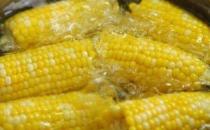 ?簡單美味的減肥早餐食譜 愛美的你可不要錯過