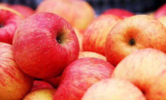 維生素A是一種強(qiáng)大的抗氧化劑 維生素a的六類水果