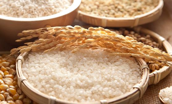 粗纖維在消化系統中有吸水作用 推薦7類粗纖維食物