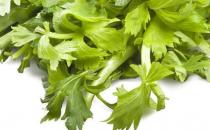 ?常吃芹菜養(yǎng)血補(bǔ)虛 低血壓脾胃虛弱的人不宜吃