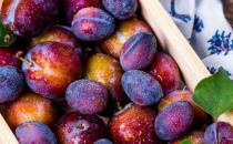 ?西梅的功效與作用 吃西梅注意事項(xiàng)