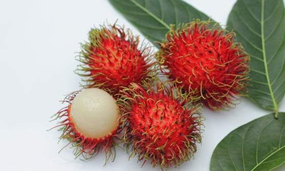 紅毛丹的功效與作用 紅毛丹的正確吃法